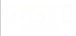 Gestoria-Aguilera-Perez-Associats-Logo-[1]